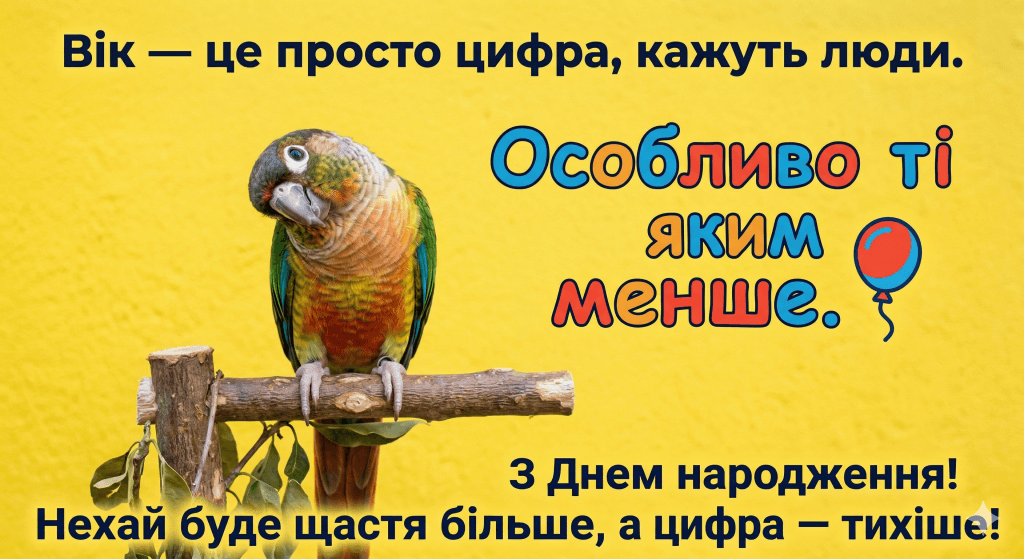 жартівливі вірші день народження українською — папуга вік цифра жарт щастя гумор вірш