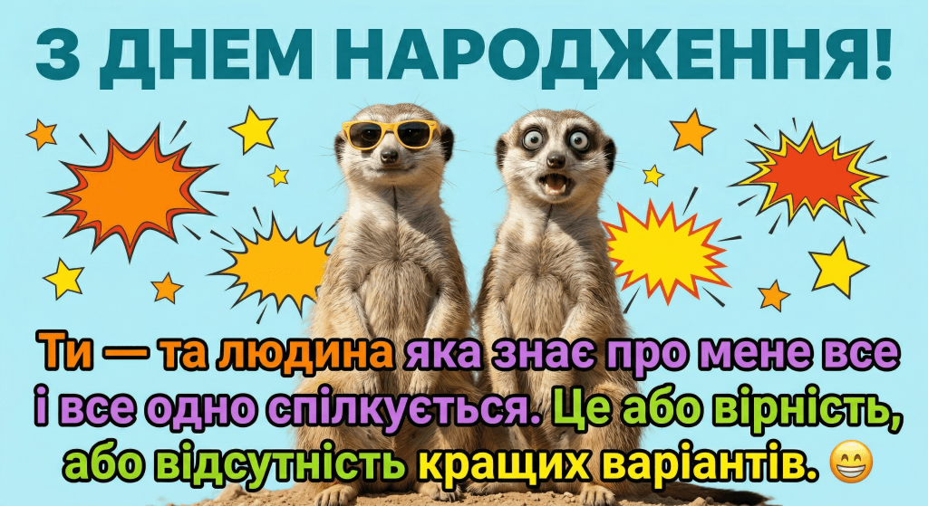 прикольні вітання з днем народження другу — два сурикати сонцезахисні окуляри гумор друзі